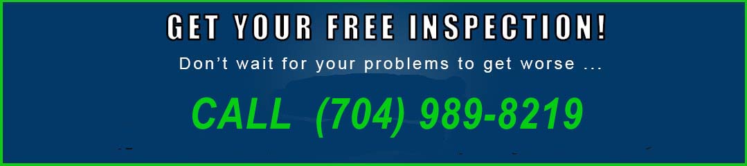 CALL FOR MOLD REMOVAL SERVICE