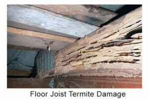floor joist termite damage